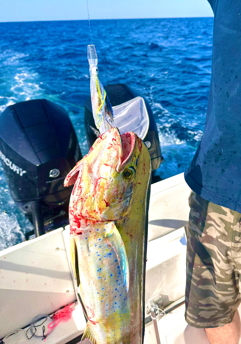 Lobo Lures #10 Micro-Typhoon 6