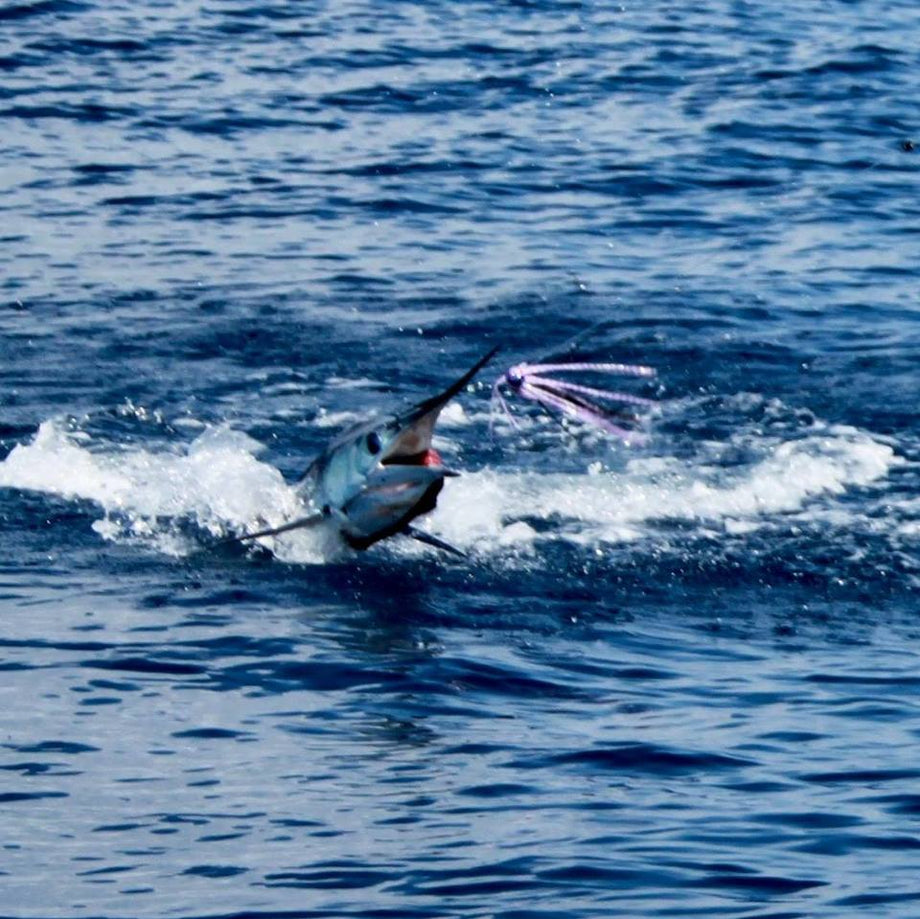Lobo Lures #50 Typhoon 15 Marlin Trolling Lure